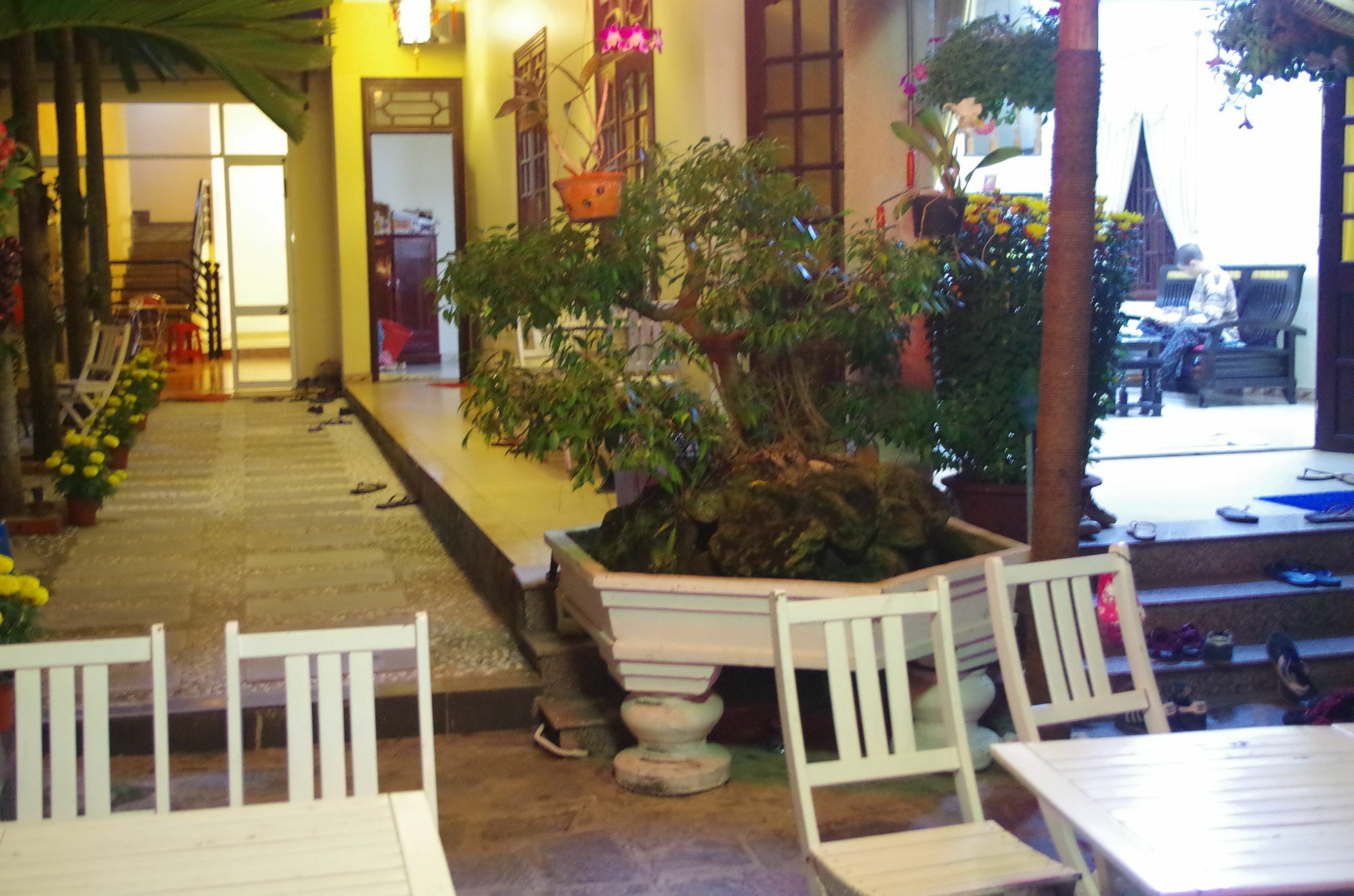 Mango Garden Hoi An Homestay المظهر الخارجي الصورة